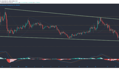 Basic Attention Token, Tezos, EOS 가격 분석 : 12 월 25 일