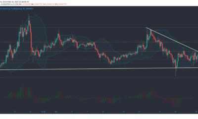 BAT, Stellar, OKB 가격 분석 : 12 월 30 일