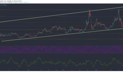 Bitcoin Cash, NEM, Decred Price Analysis : 12 월 24 일