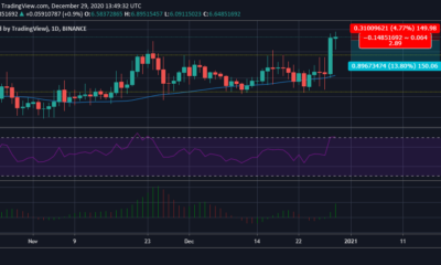 Polkadot 가격 분석 : 12 월 29 일