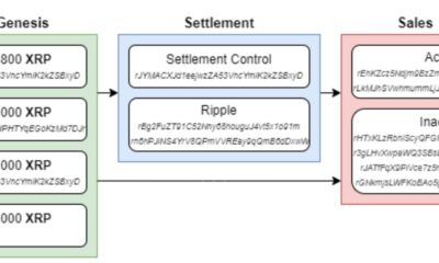 2020 년이 가장 뚱뚱한 XRP 고래에게 가장 좋은 해였던 이유