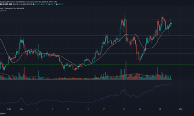 Bitcoin Cash, IOTA, Dogecoin 가격 분석 : 12 월 30 일