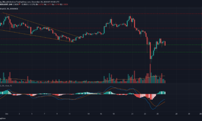 EOS, Basic Attention Token, NEM 가격 분석 : 12 월 26 일