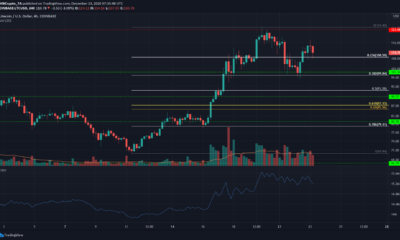 Litecoin, Cosmos, Dogecoin 가격 분석 : 12 월 23 일