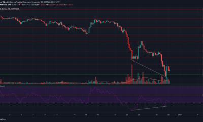 XRP, Decred, Polkadot 가격 분석 : 12 월 30 일