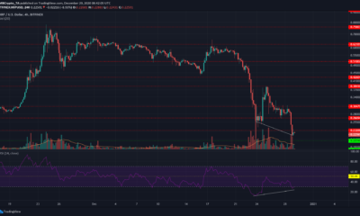 XRP, Cosmos, BAT 가격 분석 : 12 월 29 일