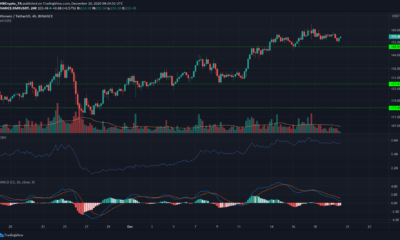 Monero, Polkadot, 복합 가격 분석 : 12 월 20 일