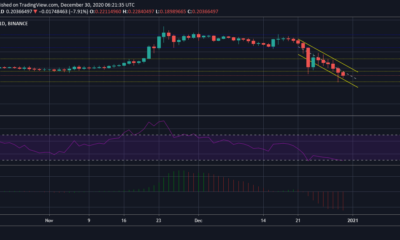 XRP 가격 분석 : 12 월 30 일