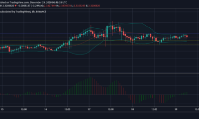 Tezos, Waves, Dogecoin 가격 분석 : 12 월 19 일