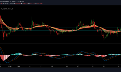 Bitcoin SV, BAT, Enjin 가격 분석 : 12 월 31 일