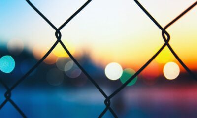 Cardano, Ethereum Virtual Machine DevNet 출시
