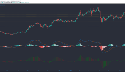 Litecoin, Algorand, VeChain 가격 분석 : 1 월 20 일