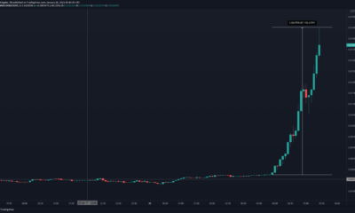 WallStreetBets 드라마 속에서 Dogecoin이 90 %까지 펌프질