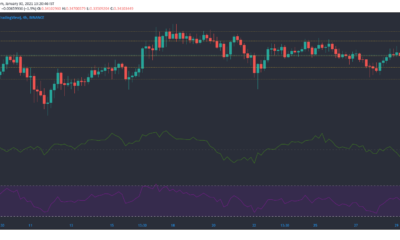 Cardano, Dogecoin, VeChain 가격 분석 : 1 월 30 일