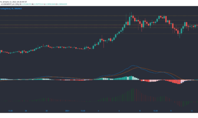 Cardano, Synthetix, Cosmos 가격 분석 : 1 월 13 일