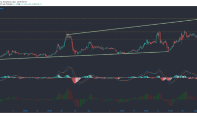 Bitcoin Cash, Polkadot, FTX 토큰 가격 분석 : 1 월 5 일