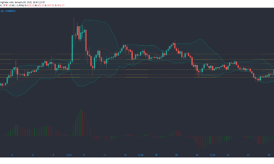 Bitcoin Cash, Monero, Uniswap 가격 분석 : 1 월 30 일