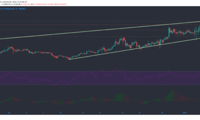 바이 낸스 코인, IOTA, 도지 코인 가격 분석 : 1 월 6 일