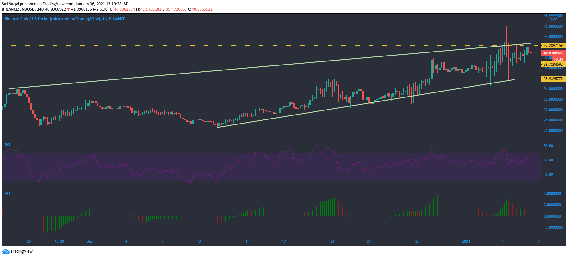 바이 낸스 코인, IOTA, 도지 코인 가격 분석 : 1 월 6 일