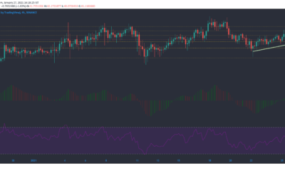 Binance Coin, Synthetix, Zcash 가격 분석 : 1 월 27 일