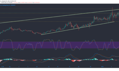 Binance Coin, Synthetix, Decred Price Analysis : 1 월 9 일