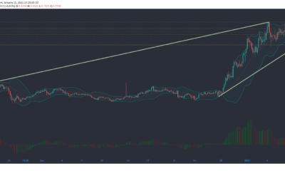 Polkadot, VeChain, Algorand 가격 분석 : 1 월 10 일