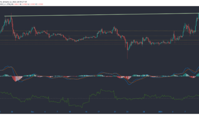 EOS, Polkadot, Neo 가격 분석 : 1 월 12 일