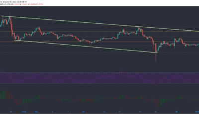 EOS, Waves, Crypto.com 코인 가격 분석 : 1 월 4 일