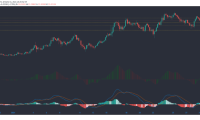 Chainlink, Synthetix, Decred Price Analysis : 1 월 31 일