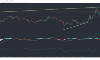 Chainlink, Bitcoin SV, Zcash 가격 분석 : 1 월 11 일