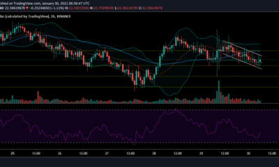 Chainlink 가격 분석 : 1 월 30 일
