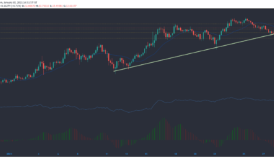 Chainlink, Crypto.com Coin, IOTA 가격 분석 : 1 월 30 일