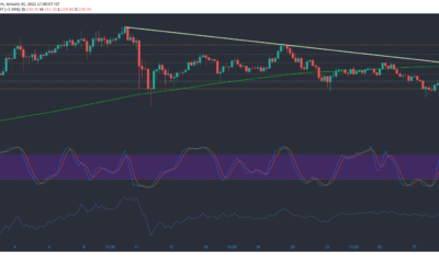 Litecoin, Tron, Elrond 가격 분석 : 1 월 30 일