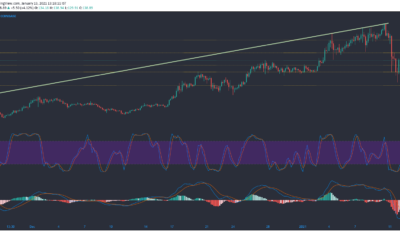 Litecoin, Monero, Dash 가격 분석 : 1 월 13 일
