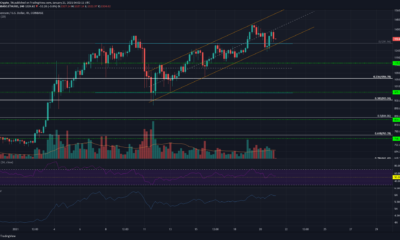 Ethereum, Monero, Dogecoin 가격 분석 : 1 월 21 일