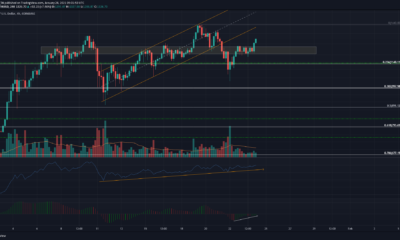 Ethereum, Aave, Algorand 가격 분석 : 1 월 24 일