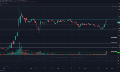 Stellar Lumens, Augur, VeChain 가격 분석 : 1 월 29 일
