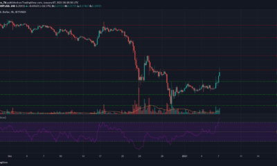XRP, Tron, Zcash 가격 분석 : 1 월 7 일