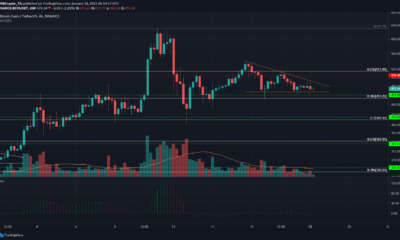 비트 코인 캐시, IOTA, 복합 가격 분석 : 1 월 18 일