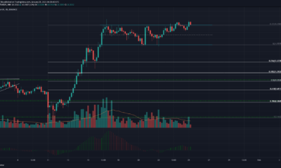 Polkadot, IOTA, Aave 가격 분석 : 1 월 25 일