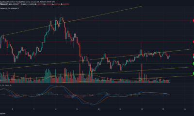 Tron, Ethereum Classic, IOST 가격 분석 : 1 월 15 일
