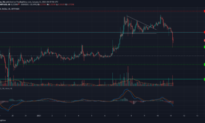 XRP, Monero, Dogecoin 가격 분석 : 1 월 11 일