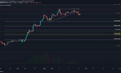 Polkadot, Monero, Ethereum Classic 가격 분석 : 1 월 8 일
