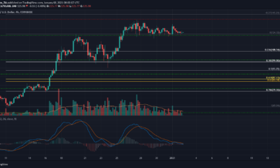 Litecoin, VeChain, Algorand 가격 분석 : 1 월 2 일