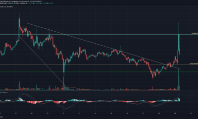 XRP, BAT, FTX 토큰 가격 분석 : 1 월 29 일