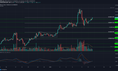 비트 코인 캐시, EOS, 알고 랜드 가격 분석 : 1 월 14 일
