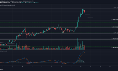 Bitcoin Cash, Synthetix, IOTA 가격 분석 : 1 월 10 일