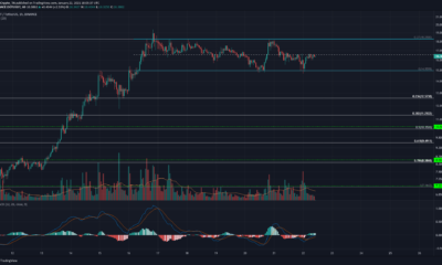 Polkadot, NEM, Neo 가격 분석 : 1 월 22 일