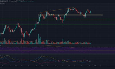 Chainlink, Neo, Enjin 가격 분석 : 1 월 29 일