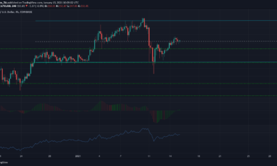Litecoin, OMG, SushiSwap 가격 분석 : 1 월 15 일